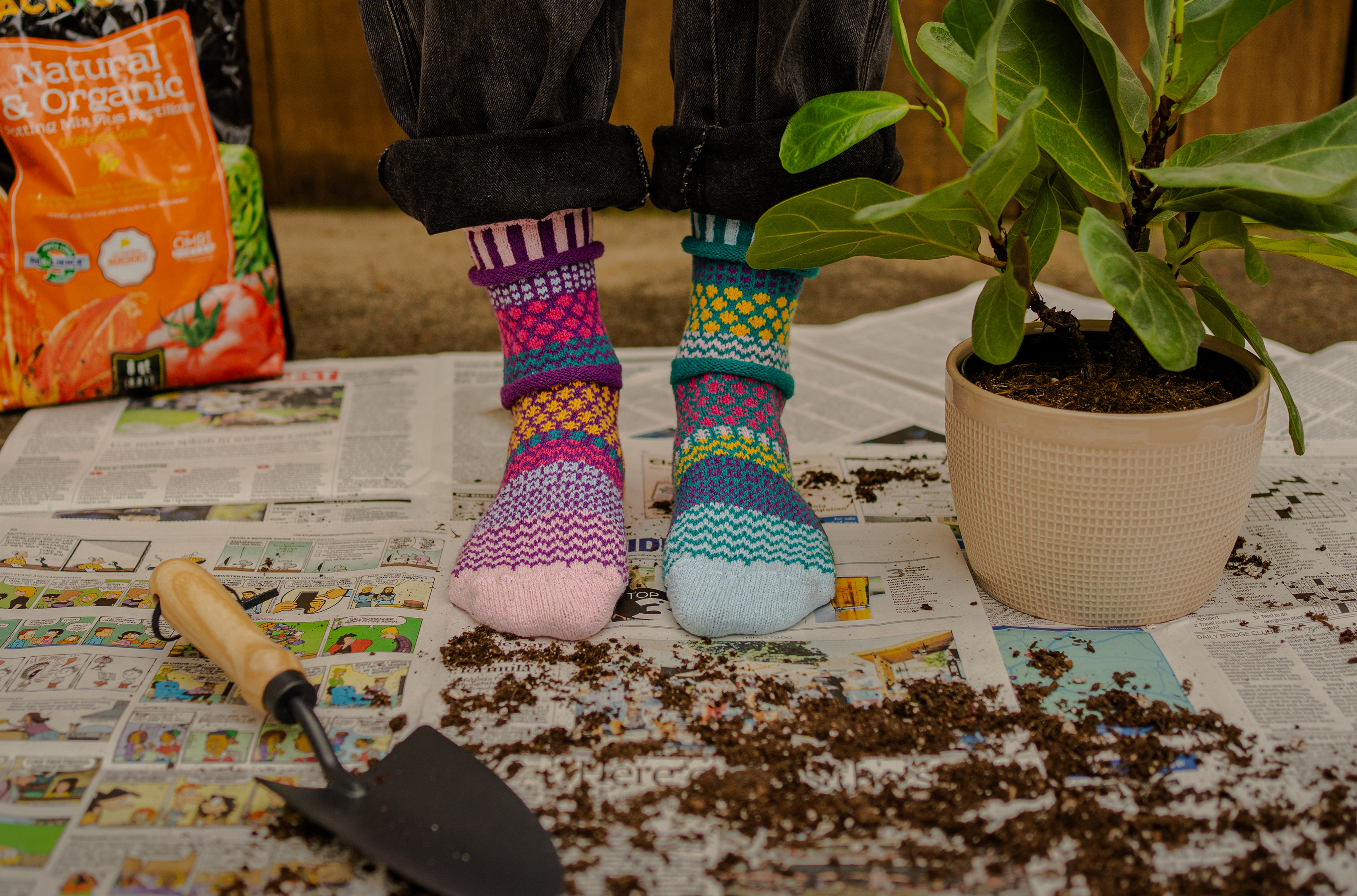 Petunia Crew Socks